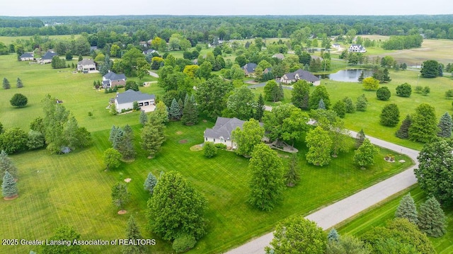 4347 Fruitbelt Ln, Williamston, MI 48895 - photo 49