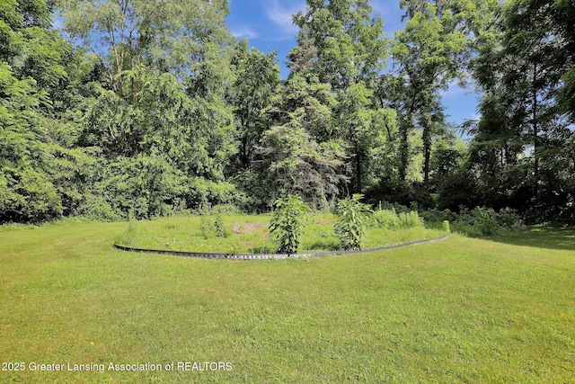 5355 Holt Rd, Holt, MI 48842 - photo 25