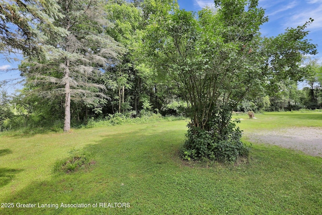 5355 Holt Rd, Holt, MI 48842 - photo 26