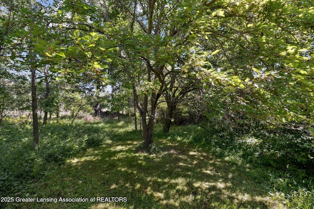 8301 S Dewitt Rd, Dewitt, MI 48820 - photo 30
