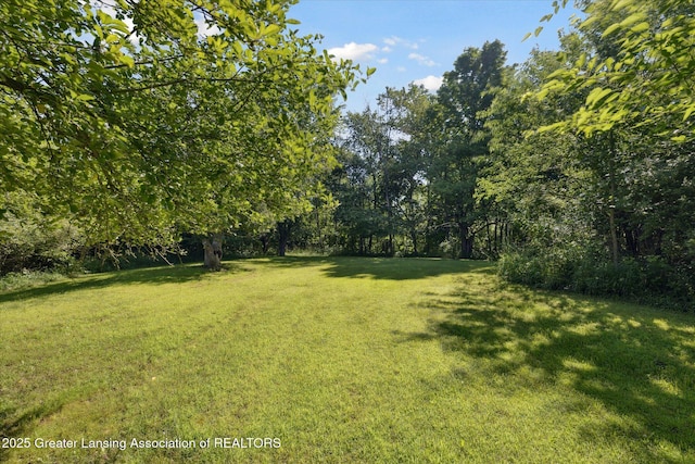 8301 S Dewitt Rd, Dewitt, MI 48820 - photo 31