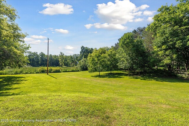 8301 S Dewitt Rd, Dewitt, MI 48820 - photo 38