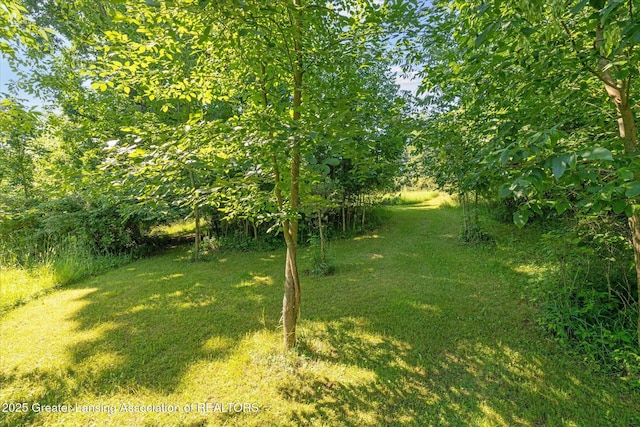 8301 S Dewitt Rd, Dewitt, MI 48820 - photo 40