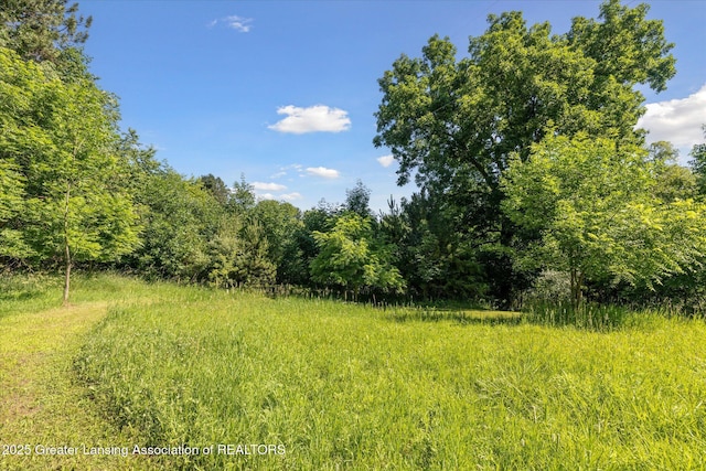8301 S Dewitt Rd, Dewitt, MI 48820 - photo 41