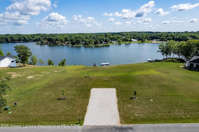 11029 Lakeside Dr, Perrinton, MI 48871 - photo 29