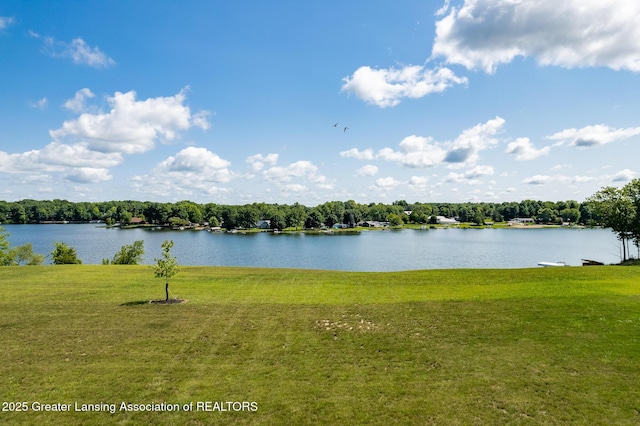 11029 Lakeside Dr, Perrinton, MI 48871 - photo 31