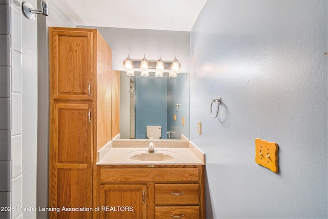 6875 W Howe Rd, Dewitt, MI 48820 - bathroom featuring vanity