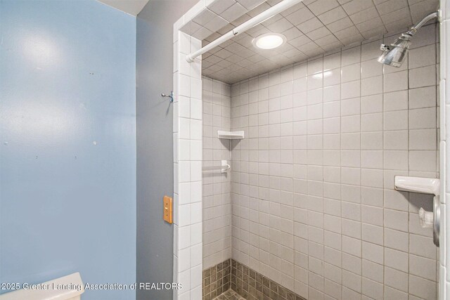 6875 W Howe Rd, Dewitt, MI 48820 - bathroom featuring a stall shower
