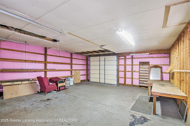 6875 W Howe Rd, Dewitt, MI 48820 - view of garage