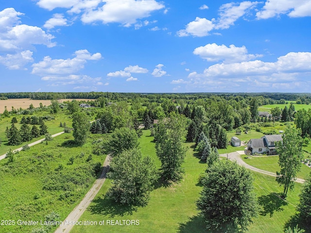 6875 W Howe Rd, Dewitt, MI 48820 - aerial view of sparsely populated area