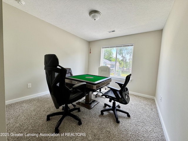 4314 Ringneck Ln, Holt, MI 48842 - home office featuring carpet flooring and a textured ceiling