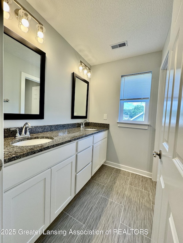 4314 Ringneck Ln, Holt, MI 48842 - bathroom with double vanity and a textured ceiling