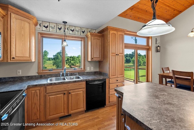 5159 E Pratt Rd, Saint Johns, MI 48879 - kitchen with black appliances, dark countertops, light wood finished floors, and pendant lighting
