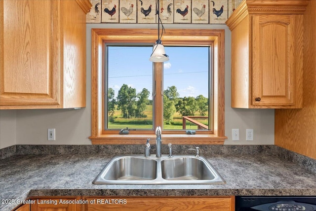5159 E Pratt Rd, Saint Johns, MI 48879 - kitchen featuring dark countertops and dishwasher