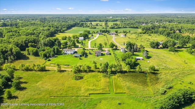 5159 E Pratt Rd, Saint Johns, MI 48879 - aerial view of a heavily wooded area