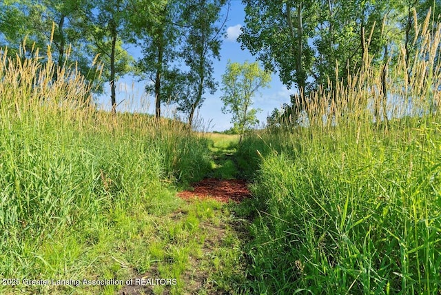 5159 E Pratt Rd, Saint Johns, MI 48879 - view of nature