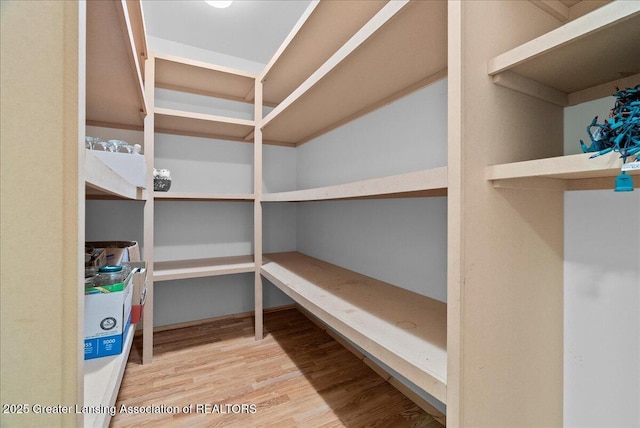 5159 E Pratt Rd, Saint Johns, MI 48879 - view of pantry