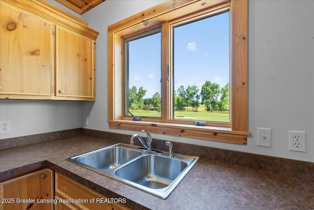 5159 E Pratt Rd, Saint Johns, MI 48879 - kitchen featuring a sink and dark countertops