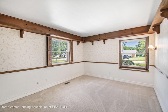 4227 Barton Rd, Lansing, MI 48917 - photo 23