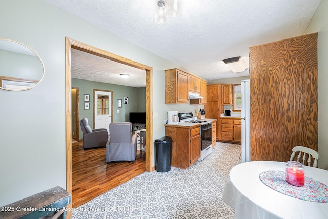 112 Ferry St, Corunna, MI 48817 - kitchen with white range with gas stovetop, under cabinet range hood, a textured ceiling, light countertops, and brown cabinetry