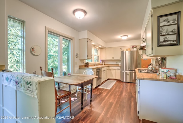 4451 Greenwood Dr, Okemos, MI 48864 - kitchen with stainless steel appliances, dark wood-style flooring, under cabinet range hood, and white cabinets