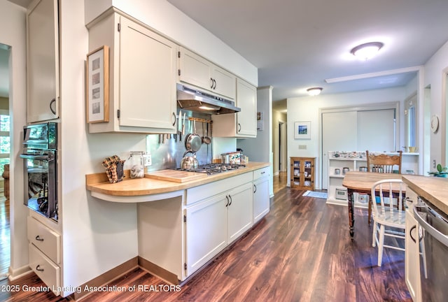 4451 Greenwood Dr, Okemos, MI 48864 - kitchen featuring stainless steel appliances, under cabinet range hood, dark wood-type flooring, and white cabinets