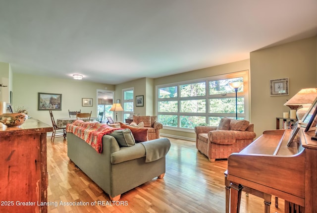 4451 Greenwood Dr, Okemos, MI 48864 - living room with light wood-type flooring and baseboards