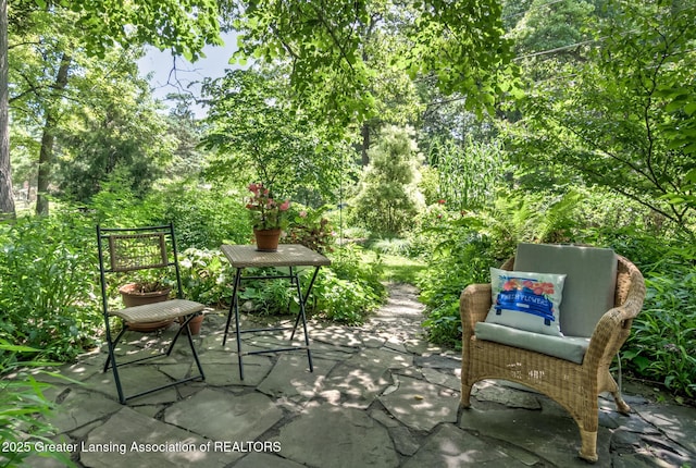 4451 Greenwood Dr, Okemos, MI 48864 - view of patio