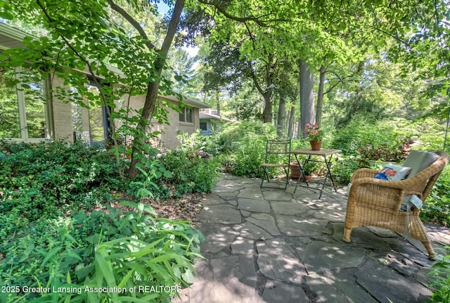 4451 Greenwood Dr, Okemos, MI 48864 - view of patio