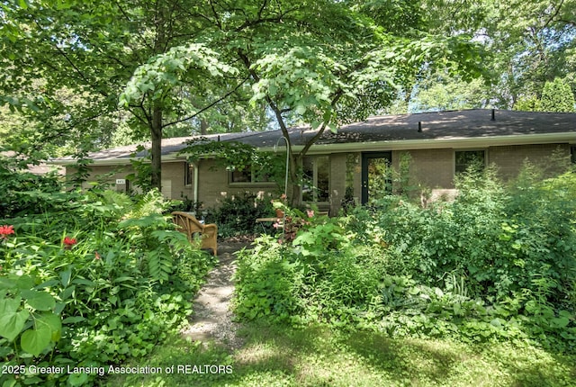 4451 Greenwood Dr, Okemos, MI 48864 - rear view of house featuring brick siding
