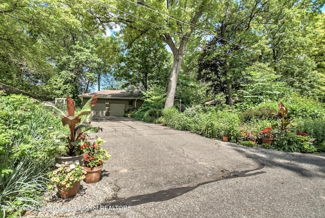 4451 Greenwood Dr, Okemos, MI 48864 - view of property hidden behind natural elements with an attached garage and asphalt driveway