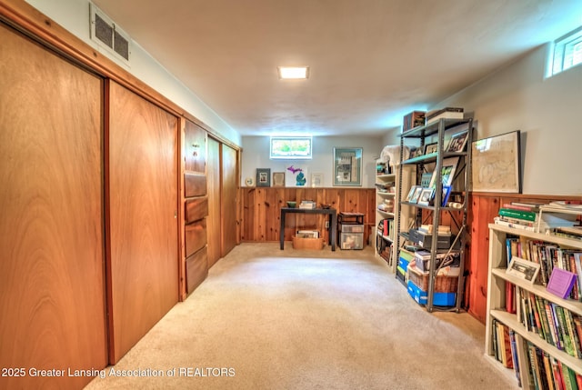 4451 Greenwood Dr, Okemos, MI 48864 - misc room featuring carpet flooring, a wainscoted wall, and wood walls