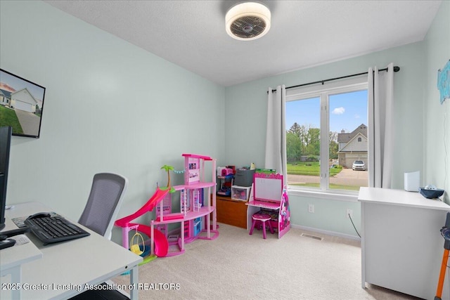 10053 Deblind Cir, Dimondale, MI 48821 - photo 29