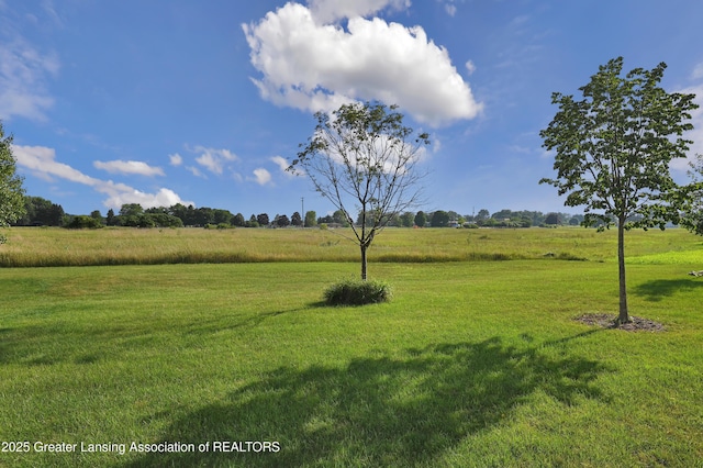 330 Vansickle Dr Unit 31, Charlotte, MI 48813 - view of green lawn with a view of countryside