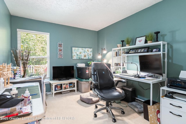 26 Aviemore Dr, Mason, MI 48854 - office with carpet floors and a textured ceiling