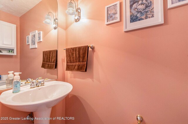 26 Aviemore Dr, Mason, MI 48854 - bathroom featuring a sink