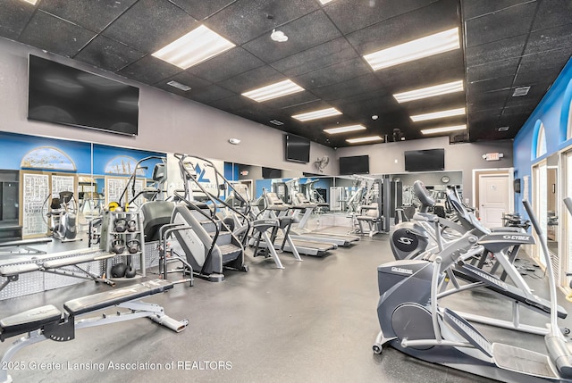 3706 Flying Gulch Dr, Holt, MI 48842 - exercise room with a paneled ceiling