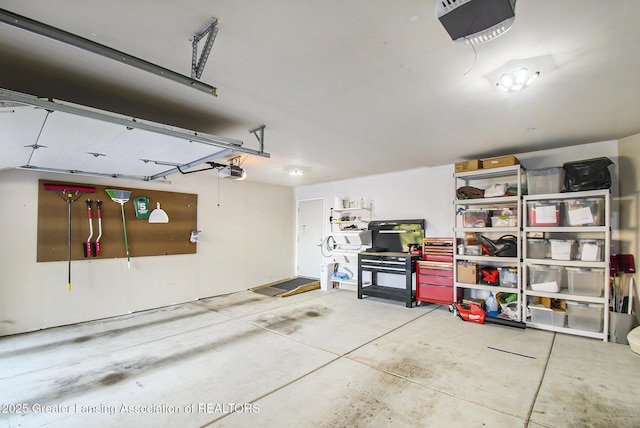 3706 Flying Gulch Dr, Holt, MI 48842 - garage with a garage door opener