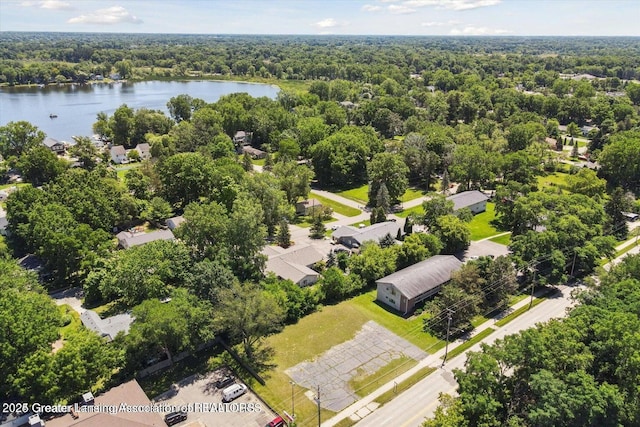 5906 Marsh Rd, Haslett, MI 48840