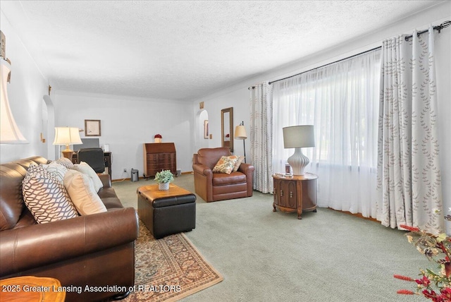 816 N Waterloo Ave, Jackson, MI 49202 - carpeted living room featuring healthy amount of natural light, a textured ceiling, and arched walkways