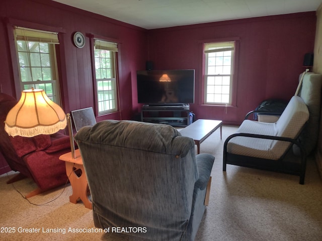 16711 Stark Rd, Springport, MI 49284 - living room featuring healthy amount of natural light and light carpet
