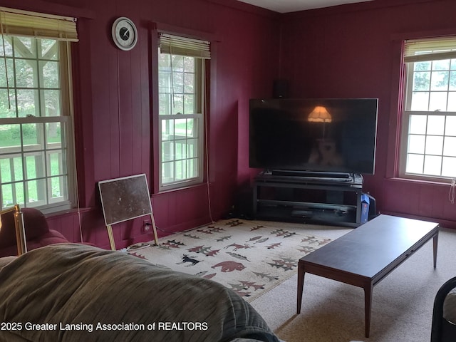16711 Stark Rd, Springport, MI 49284 - living area with carpet floors