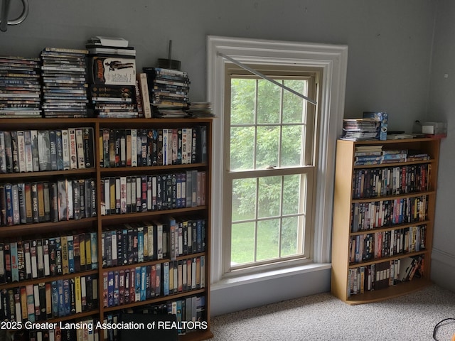 16711 Stark Rd, Springport, MI 49284 - detailed view of carpet flooring