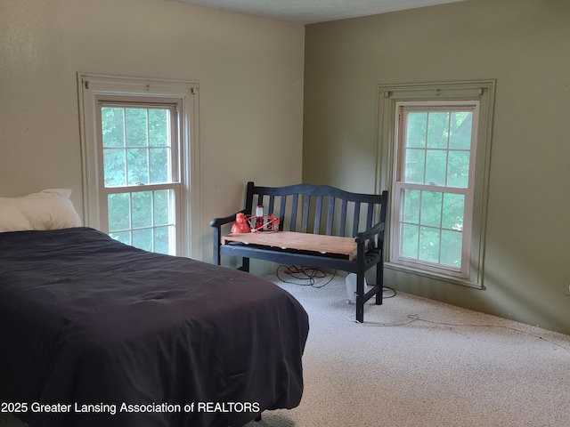 16711 Stark Rd, Springport, MI 49284 - carpeted bedroom featuring multiple windows