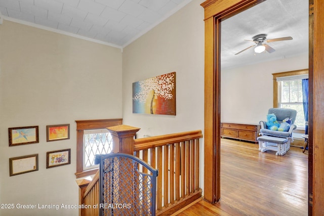 302 E State St, Saint Johns, MI 48879 - corridor with ornamental molding, an upstairs landing, and wood finished floors