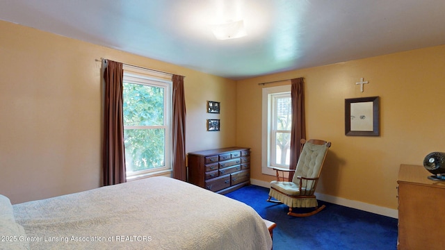 325 N Sycamore St, Lansing, MI 48933 - photo 19