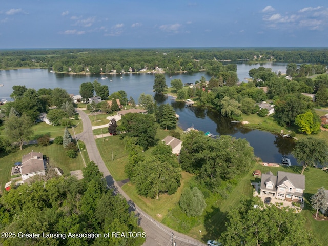 V/L Victoria Shore Dr, Laingsburg, MI 48848 - photo 6