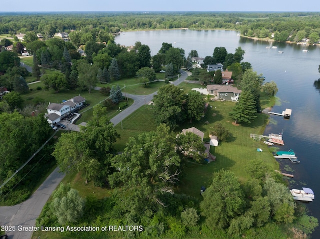 V/L Victoria Shore Dr, Laingsburg, MI 48848 - photo 13