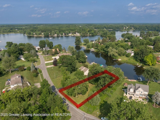 V/L Victoria Shore Dr, Laingsburg, MI 48848 - photo 14