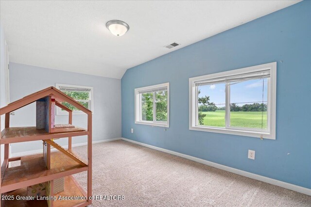 3382 Hartel Rd, Charlotte, MI 48813 - photo 22